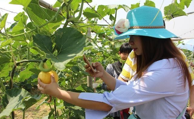 如今在农村，你要是会干、能干一定是大有前程的！干什么赚钱呢？