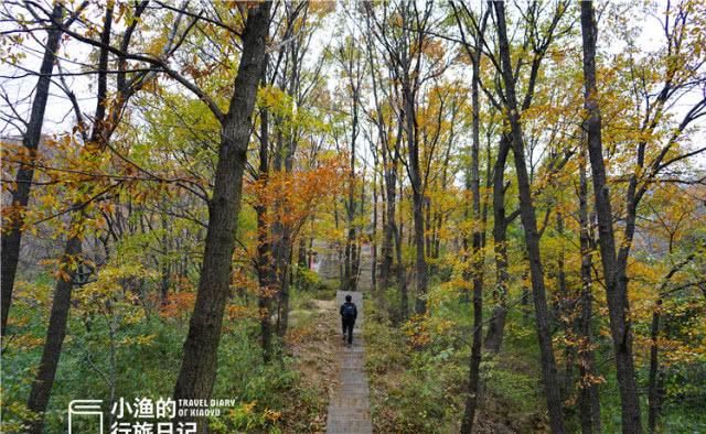 西安周边野山破庙，本地游客很少来，日本游客不远万里来朝圣