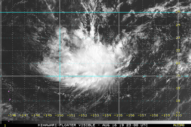 “双台风胚胎”共舞！11号台风将生成！海南未来一周天气是这样