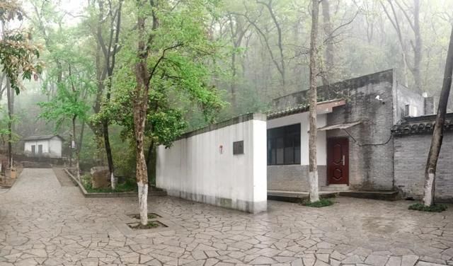 刷脸启动马桶、wifi全免费……中国诞生最美公厕