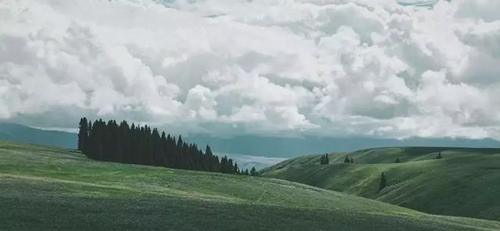 再过一个月，这些地方就美成仙境了！