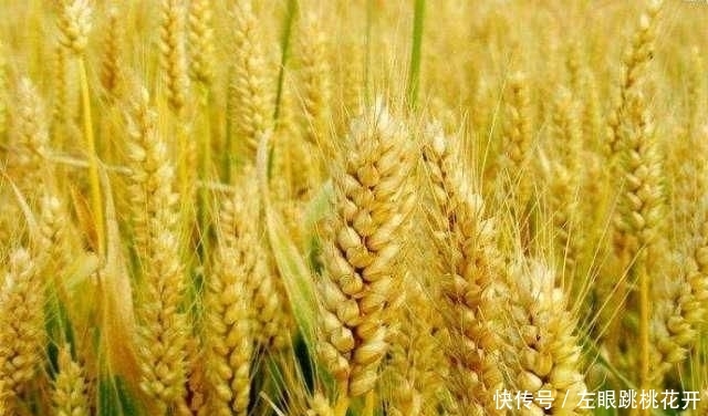  「说不来」最“纠结”的省，南方人说它北方，北方人说它南方，