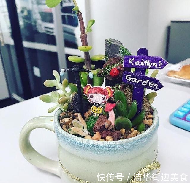 「花园」在家里种盆栽的新姿势,“茶杯花园”你见过吗?