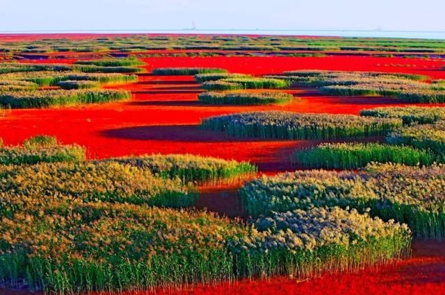 江苏最冷气温多少