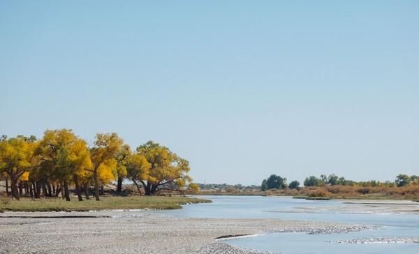 住在胡杨林间，感受醉美金秋，这个景区别错过！