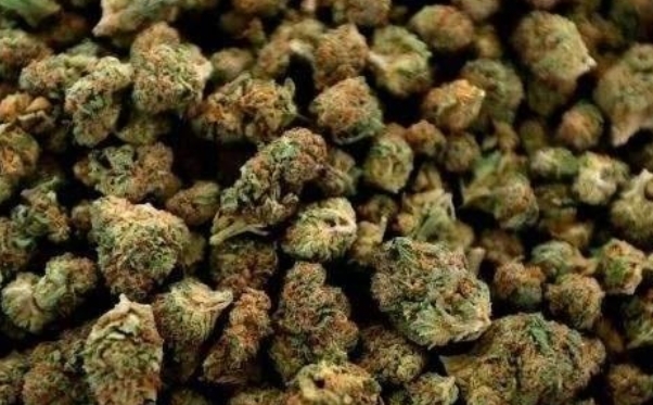 价格高过“黄金”的野草，只有两个地方能种植，价值珍贵能入药