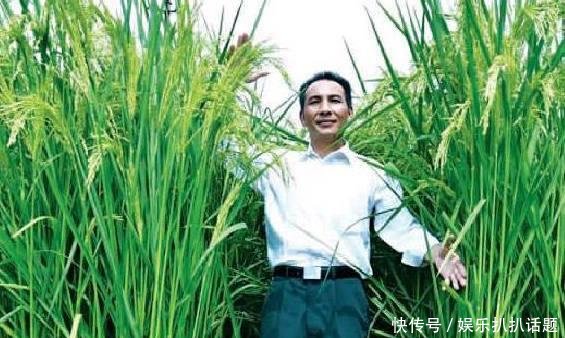 我国2.2米高的水稻试种成功！袁隆平表示禾下乘凉已不是梦！