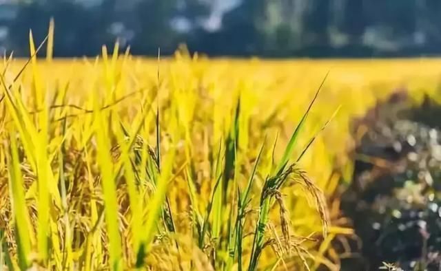 最让国人骄傲的中国奇迹，厉害了我的国