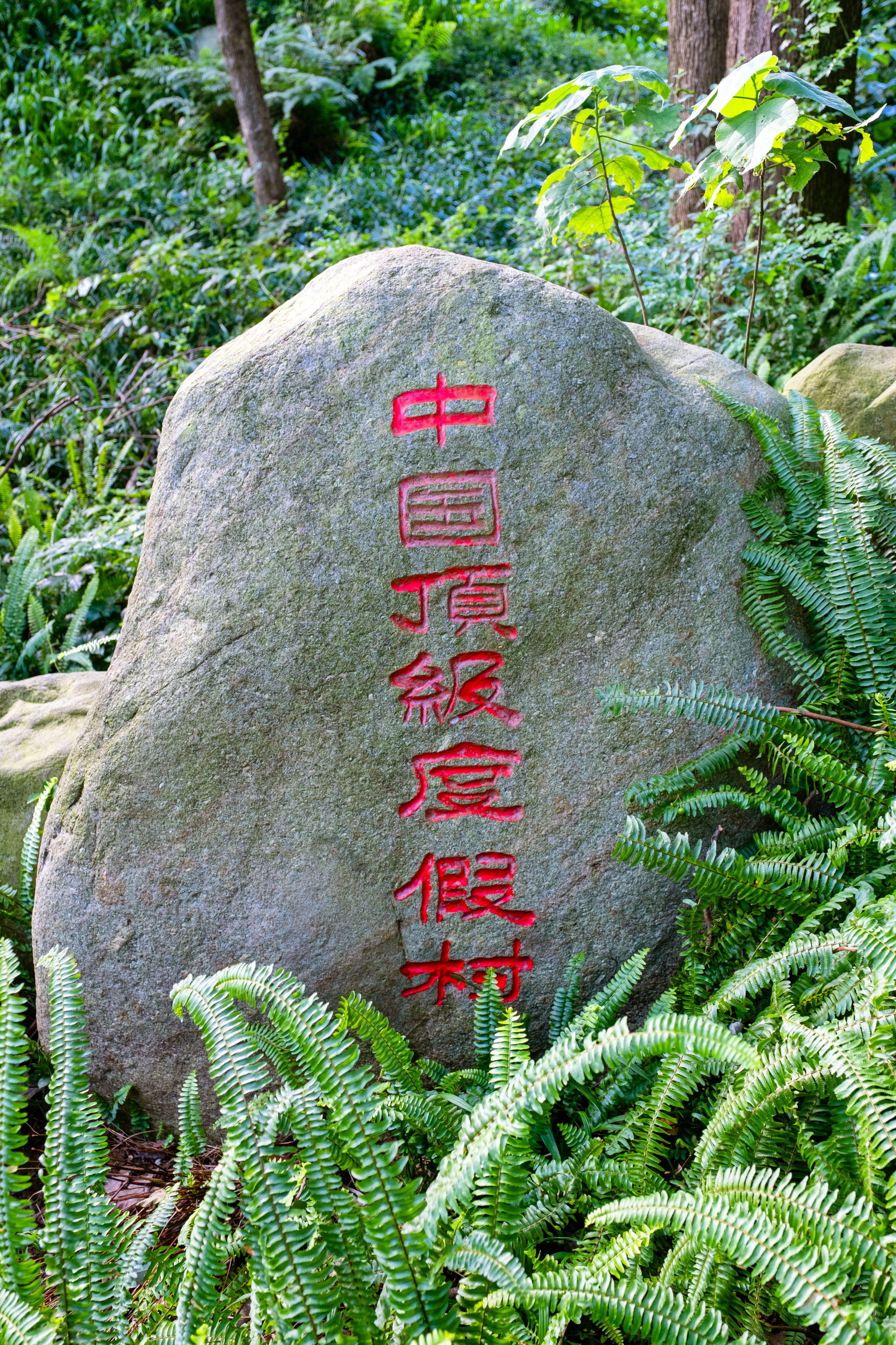 成都出发，周末打卡峨眉山温泉。