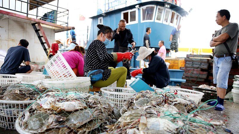  上市@中秋节前梭子蟹大量上市，连云港每天上岸30多万公斤，畅销