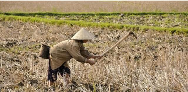 10年后哪里的房子都将不值钱，但是这4样东西将会越来越值钱！