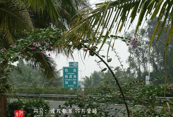  「风景」虽慢但却收获了路边的风景