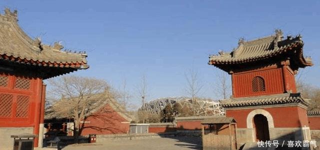 我国最强的钉子户，鸟巢是它的邻居，看它彪悍的人生！