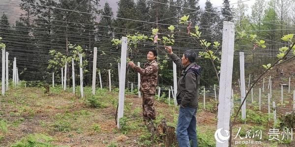 「村民」第一书记赵贵山:面对村民深情挽留 毅然决定延长任期