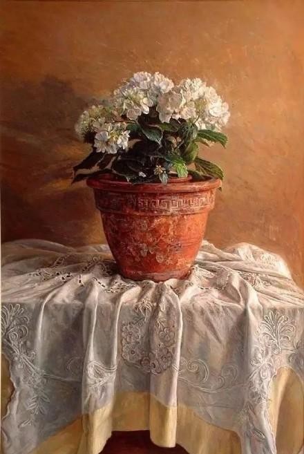 你站在窗外看风景,看风景的猫在窗外看你