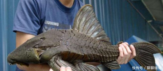 农民将刚承包的废旧池塘抽干，水底的东西让他家在村子里被人眼红