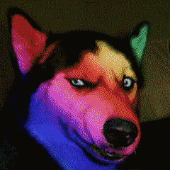 讲真,劳力士904L钢被你们神化了