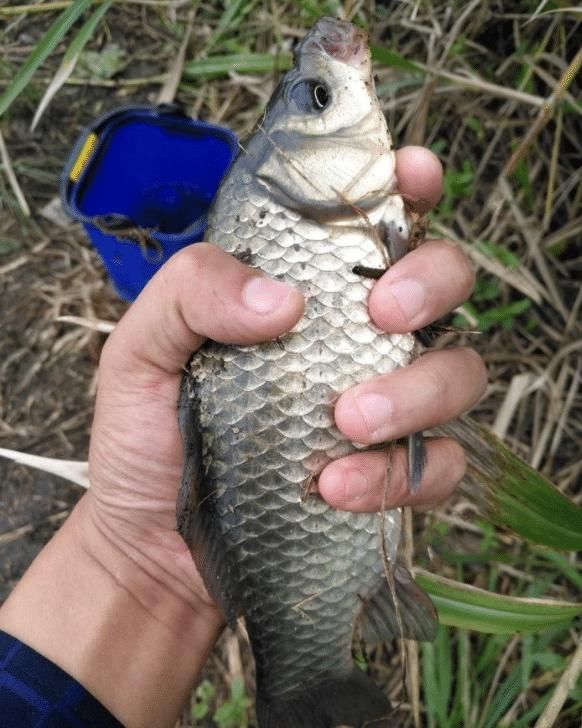 「买装备」钓鱼有4难,新手对前2点发愁,老钓友却对后2点发愁