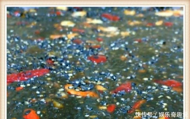  【冬季】冬季，女人别错过这点心，1周吃3次，气血双补，素颜比化妆美