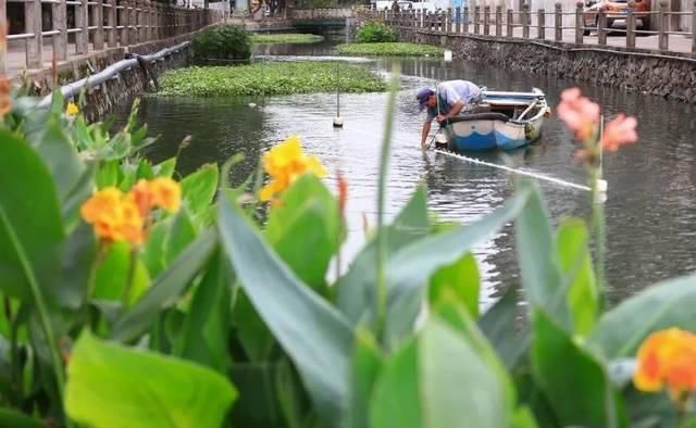 厉害啦！2019年百强区浙江占18席！看看有没有你的家乡？