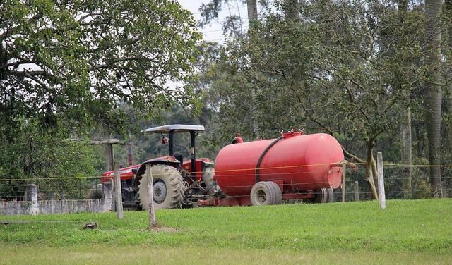  农村：十年后的农村, 这三样东西将会比房子车子还值钱, 你有吗?