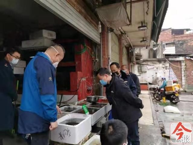  养殖企业进|严管野味市场！柳州封闭控制33家养殖野猪竹鼠企业