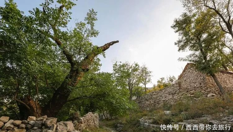 山东有座原始古村落，建在海拔530米的山上，是未开发的处女地