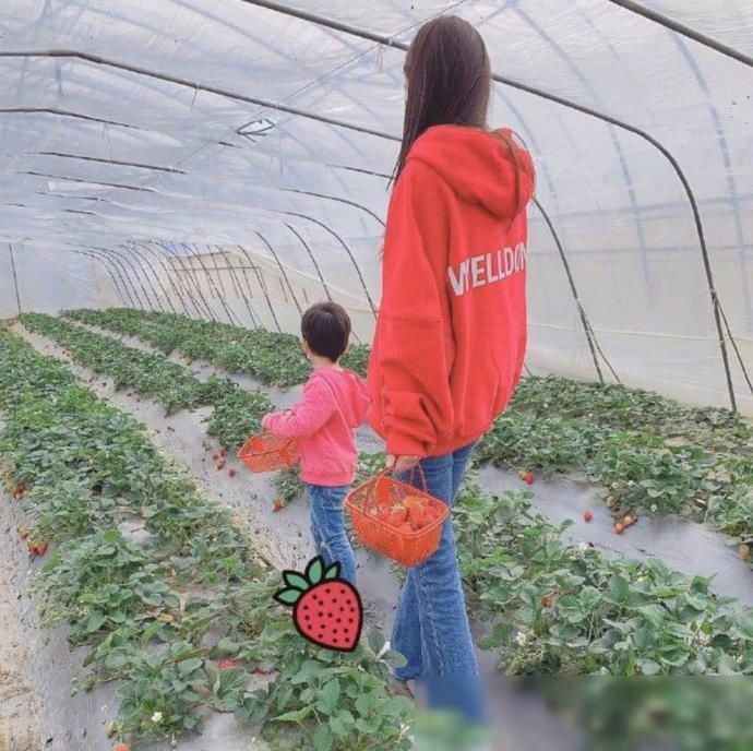 『卫衣』baby带小海绵摘草莓，母子俩身穿红色卫衣，可爱如草莓