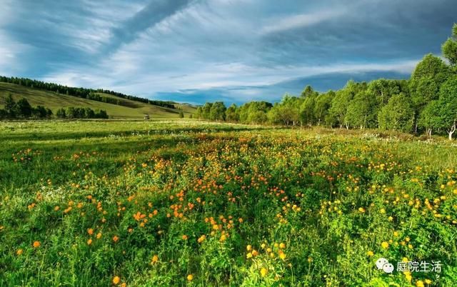  农村|等我老了，就回农村过生活