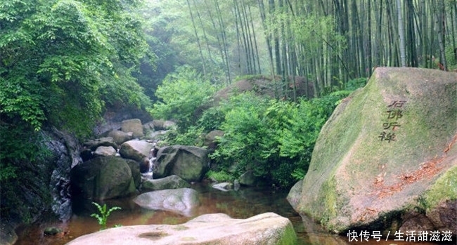 六安十大旅游景点，天堂寨有着“华东最后一片原始森林”之称