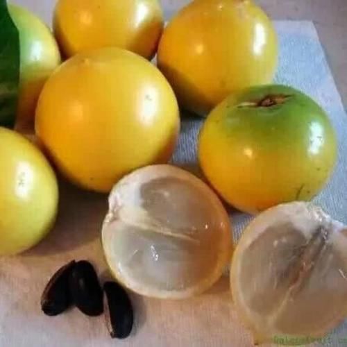  果实：这果实长得像黄金，5个就卖100元，农民：不想种植