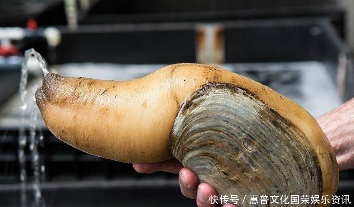 #蜘蛛#你觉得可能不存在,但世界上还真有的那些生物