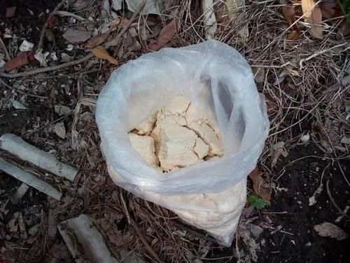  「制作堆肥」技巧| 生活中免费的堆肥材料，自制养花肥料真的很简单！