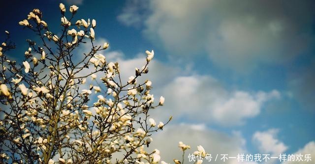 「内心」“精神长相”,会让人优雅芬芳