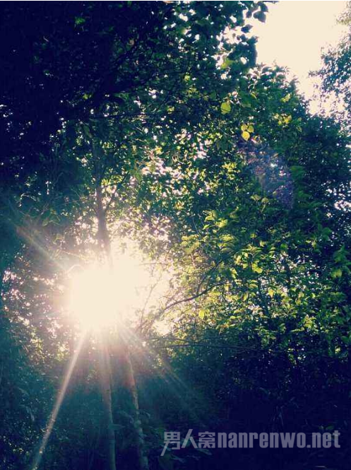 摄影初学者必懂的知识!学会了就能拍出好看的照片!