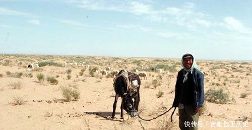  #木材#日本从不砍树，只用中国木材做一次性筷子，15年后现状如