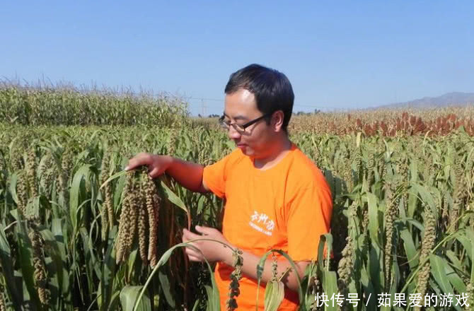 农民有福了！农村或将取消“村官”和“村长”将迎来新领导