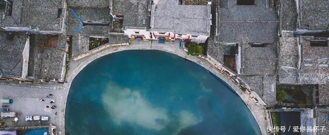 樱花:江南的美当然不分四季,可我却钟爱江南的春天,爱她的恬淡隽永