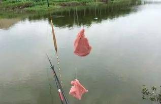  #红色#钓鱼的几个冷知识，很多钓鱼人不知道