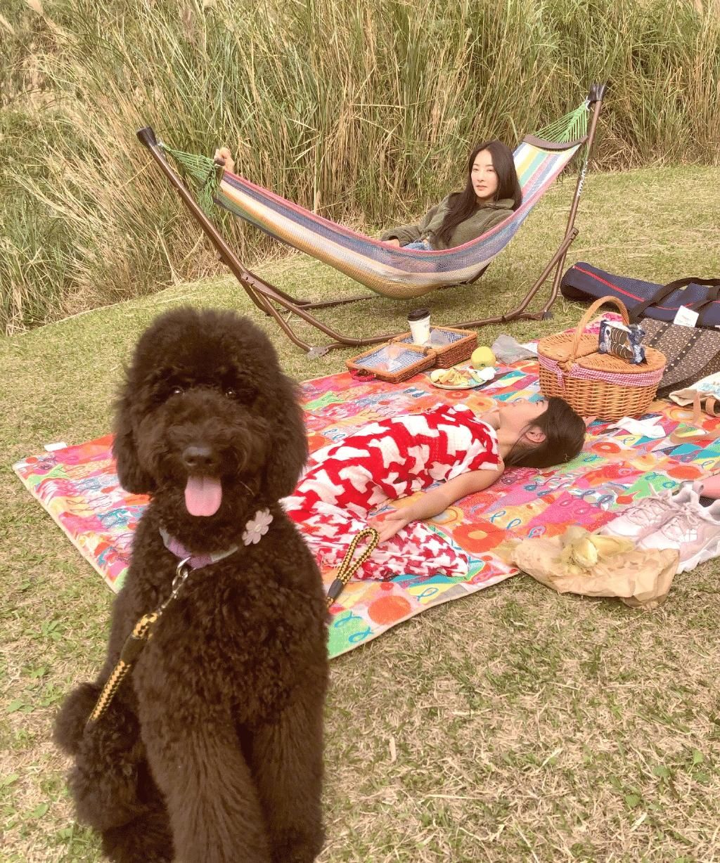  『吴速玲』曹格庆祝老婆吴速玲41岁生日，文案令人感动，结婚11年感情依旧