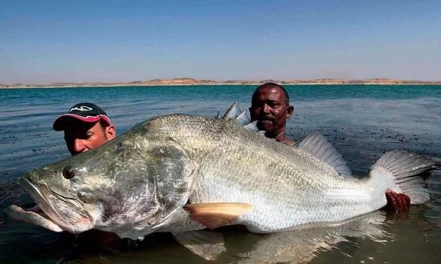 非洲也有鱼米之乡？只因为这个大湖！