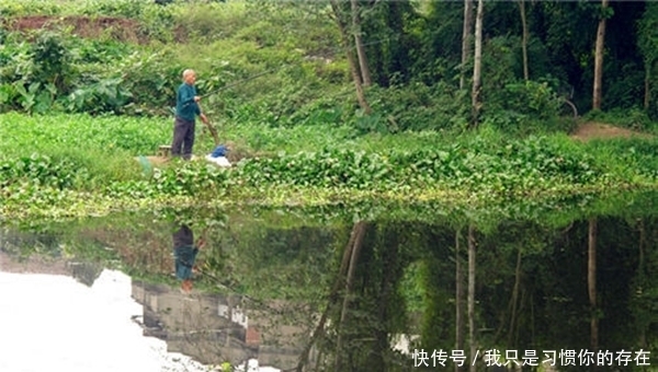  『牢记』立夏过后野钓，牢记这些变化规律，注意5钓5不钓，收获差不了！