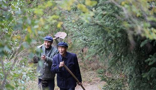  实拍：实拍：农村20岁双胞胎兄弟，耗费48年让400亩黄土变为山林