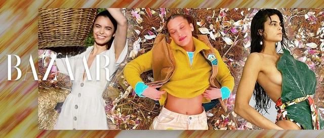 鳄梨种子■在家闭门不出的Bella Hadid,原来是在“搞绿色”?