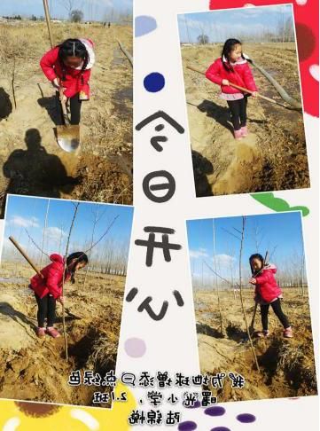  「雷锋叔叔」时光不语静待花开