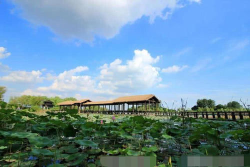  中国|中国“最宜居”的城市，连续三年获得第一，人均工资非常高