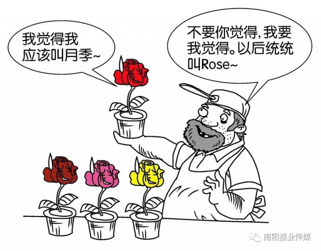  【玫瑰】哪有什么玫瑰？长哩美的都是月季！