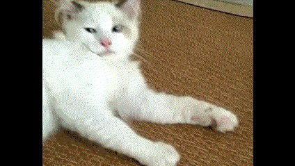 妹子，空有一双大长腿身材倒是挺胖的啊，裙子都被撑成啥样子了