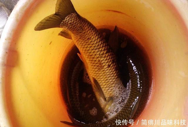 这款:每年三月份,我都用这款自制饵料钓鲤鱼,比买的饵料都好用
