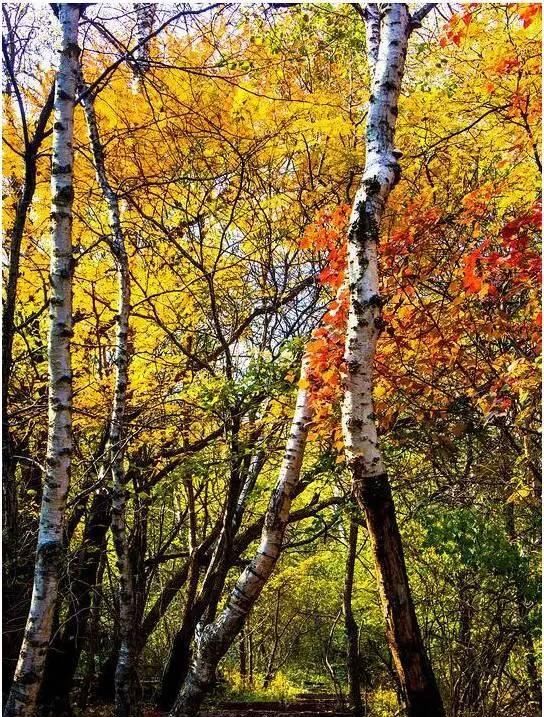 秋日里,山西20处绝美赏秋胜地美的像仙境